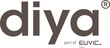 Diya part of Euvic
